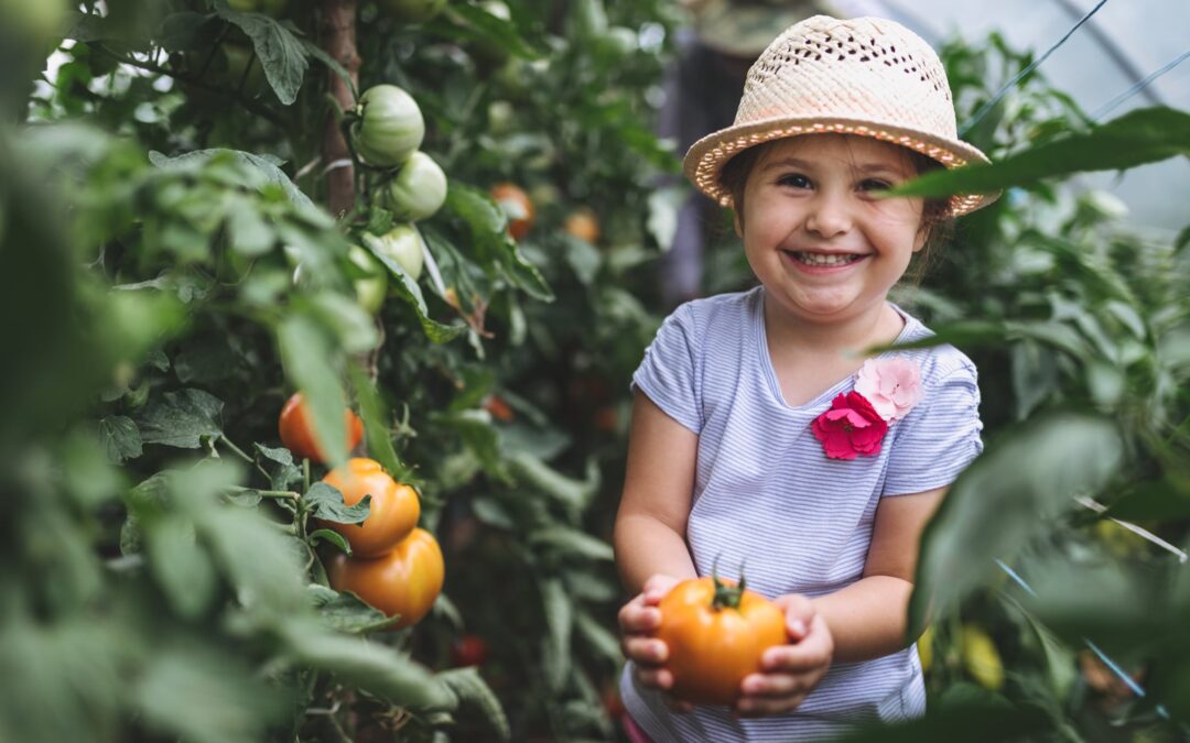 Conheça 4 erros comuns de empreendedores e aprenda aqui como evitá-los