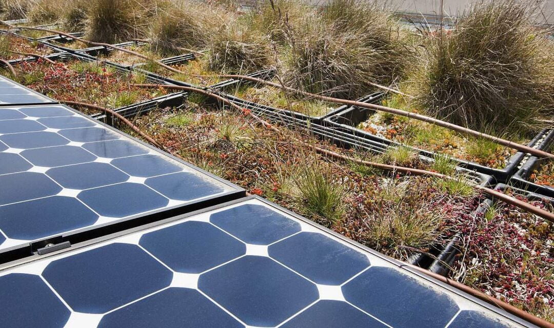 Como funciona um sistema de energia solar para irrigação?