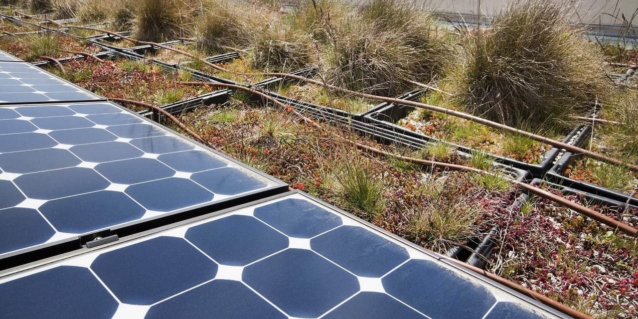 Como funciona um sistema de energia solar para irrigação?