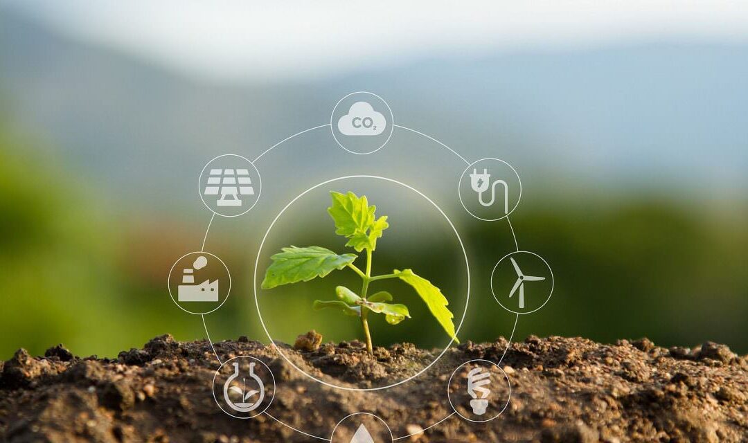 Como ser sustentável: 7 dicas para você colocar em prática