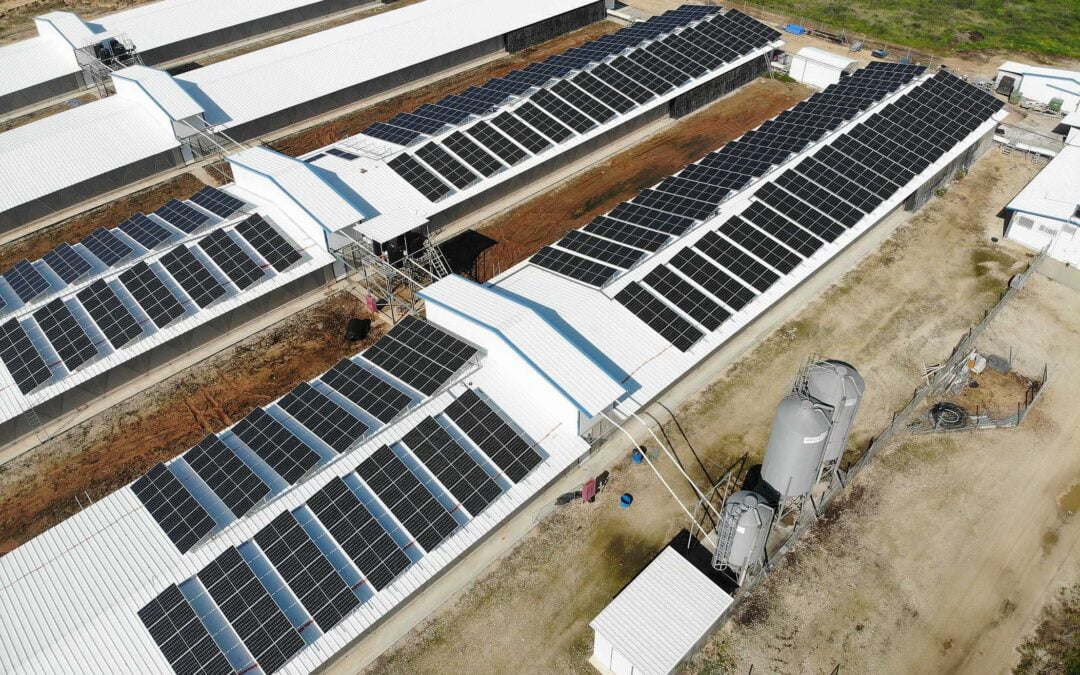 Conheça empresas do Brasil e mundo que mais investem em energia renovável