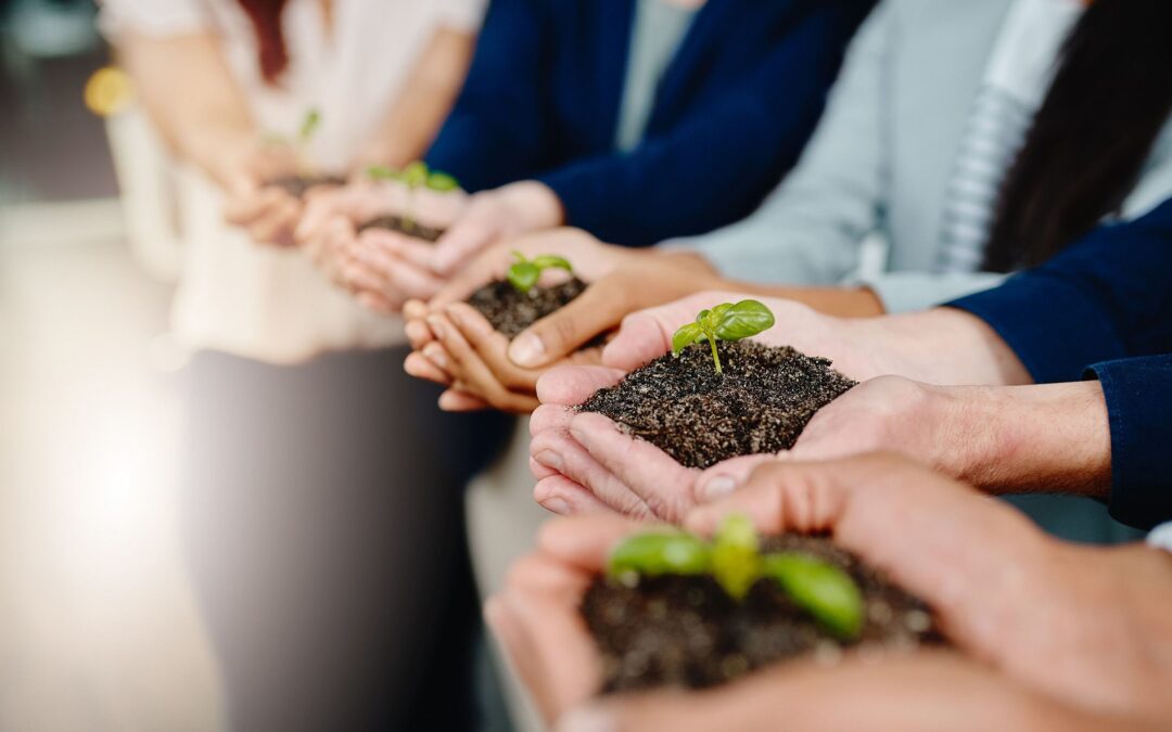 Empreendedorismo sustentável: o que saber sobre esse conceito
