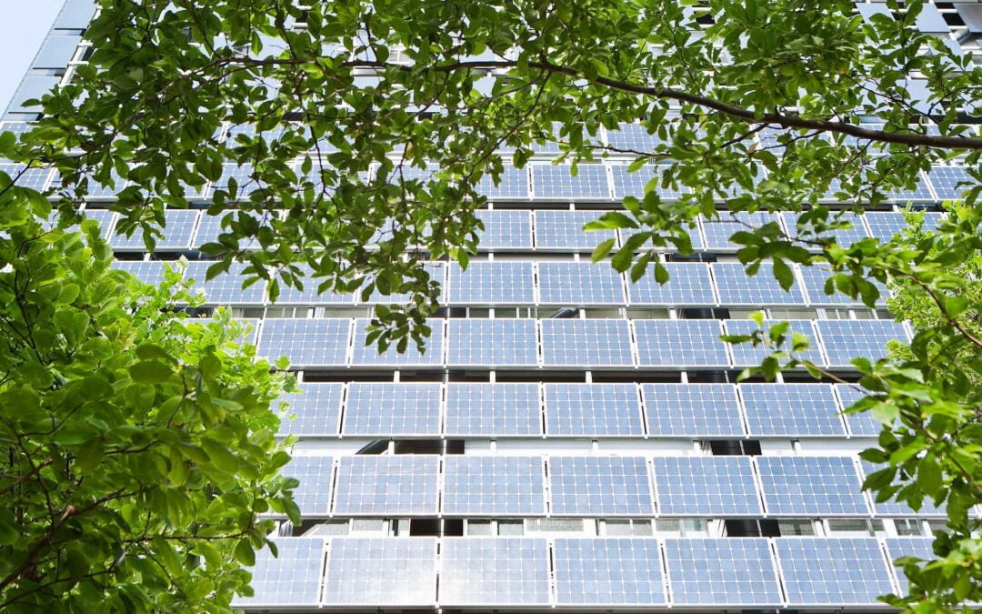 Mercado de energia solar: o que esperar para os próximos anos?