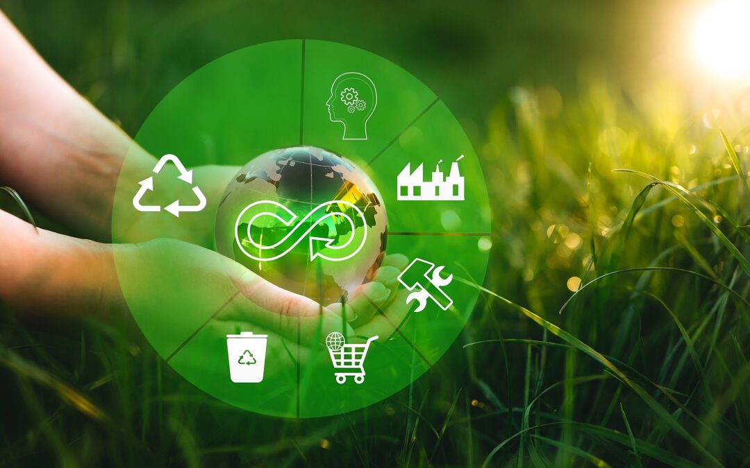 Guia da economia circular: entenda mais desse conceito!