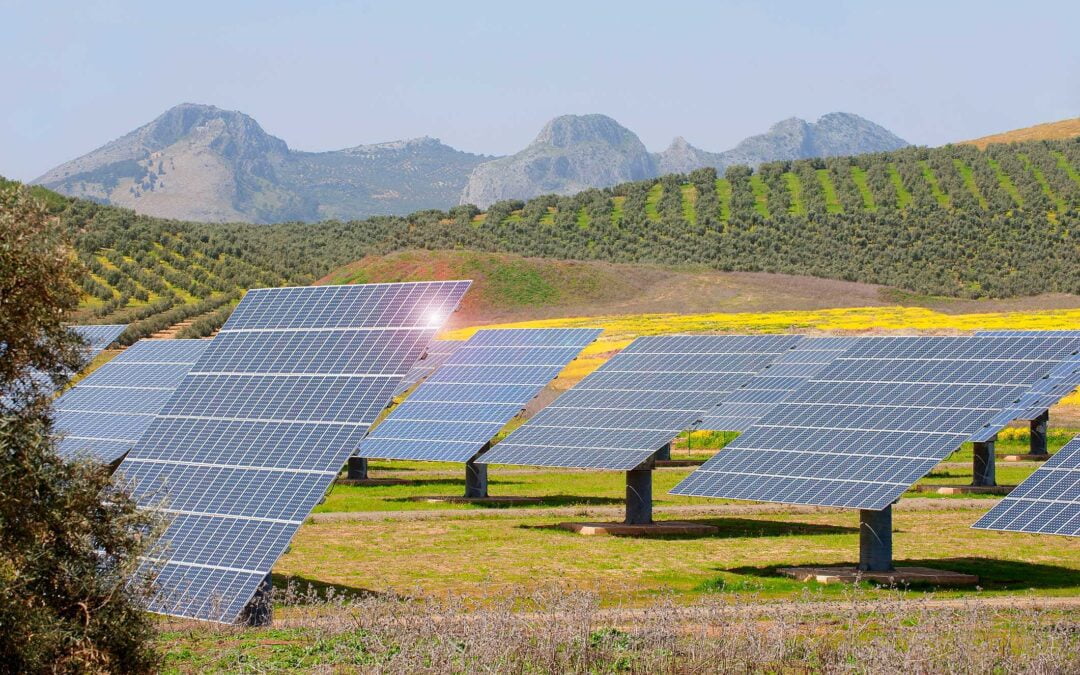 Veja 7 vantagens da energia solar para o agronegócio!