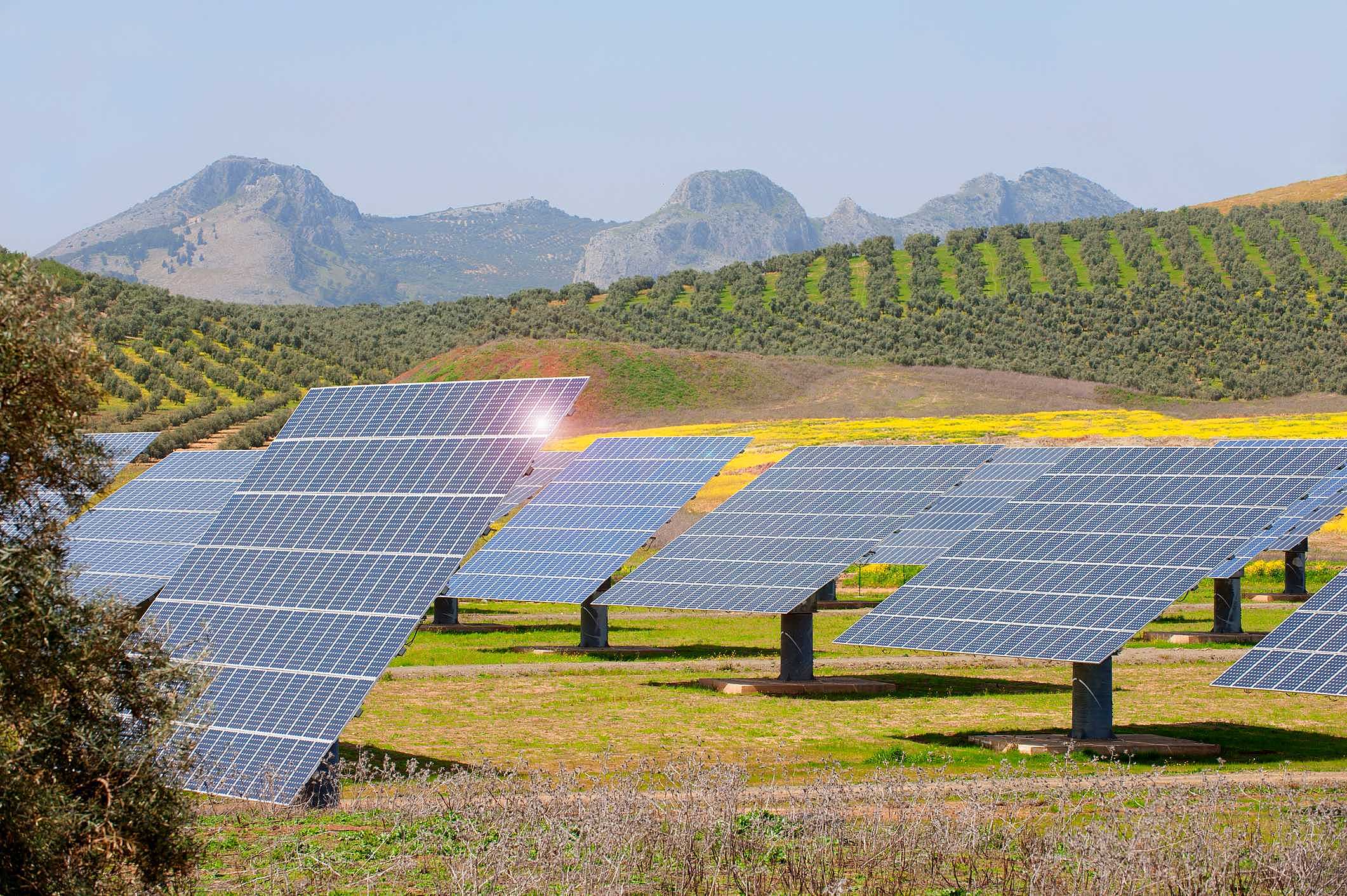usina solar de solo com painéis fotovoltaicos