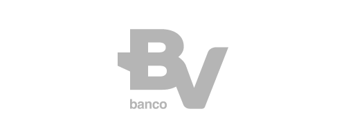 Logo: BV