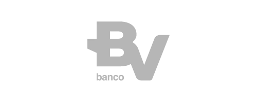 Logo: BV