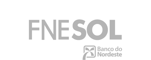 Logo: FNE Sol