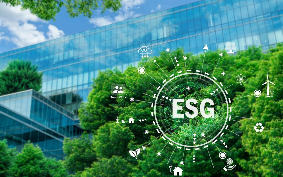 ESG nas empresas: 6 melhores práticas para adotar