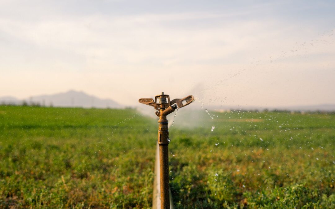 Desconto de irrigante: como funciona a tarifa de irrigação e o que mudou em 2026