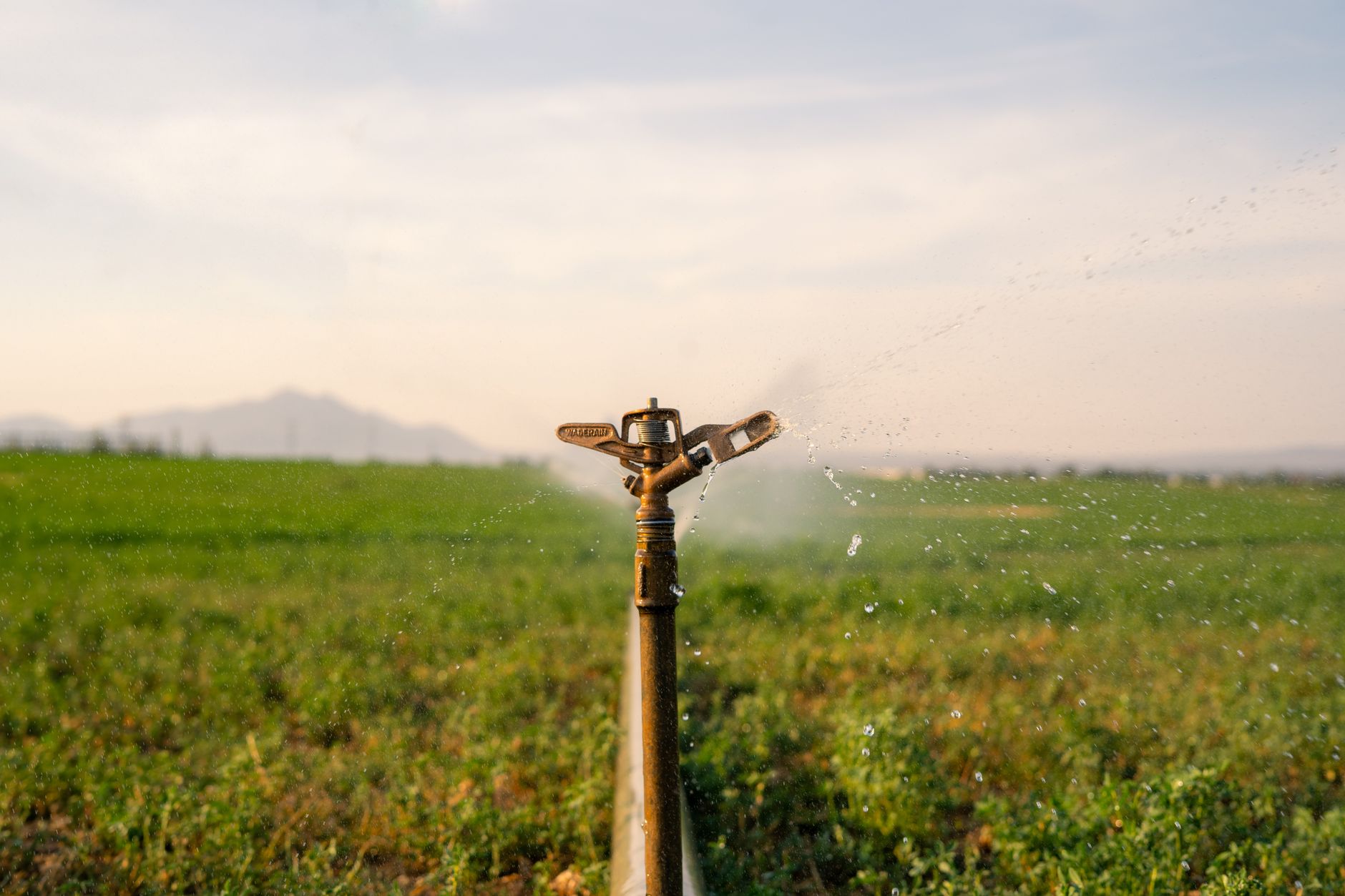 tarifa-irrigante-noturno-capa Aspersor de irrigação molhando lavoura em área rural